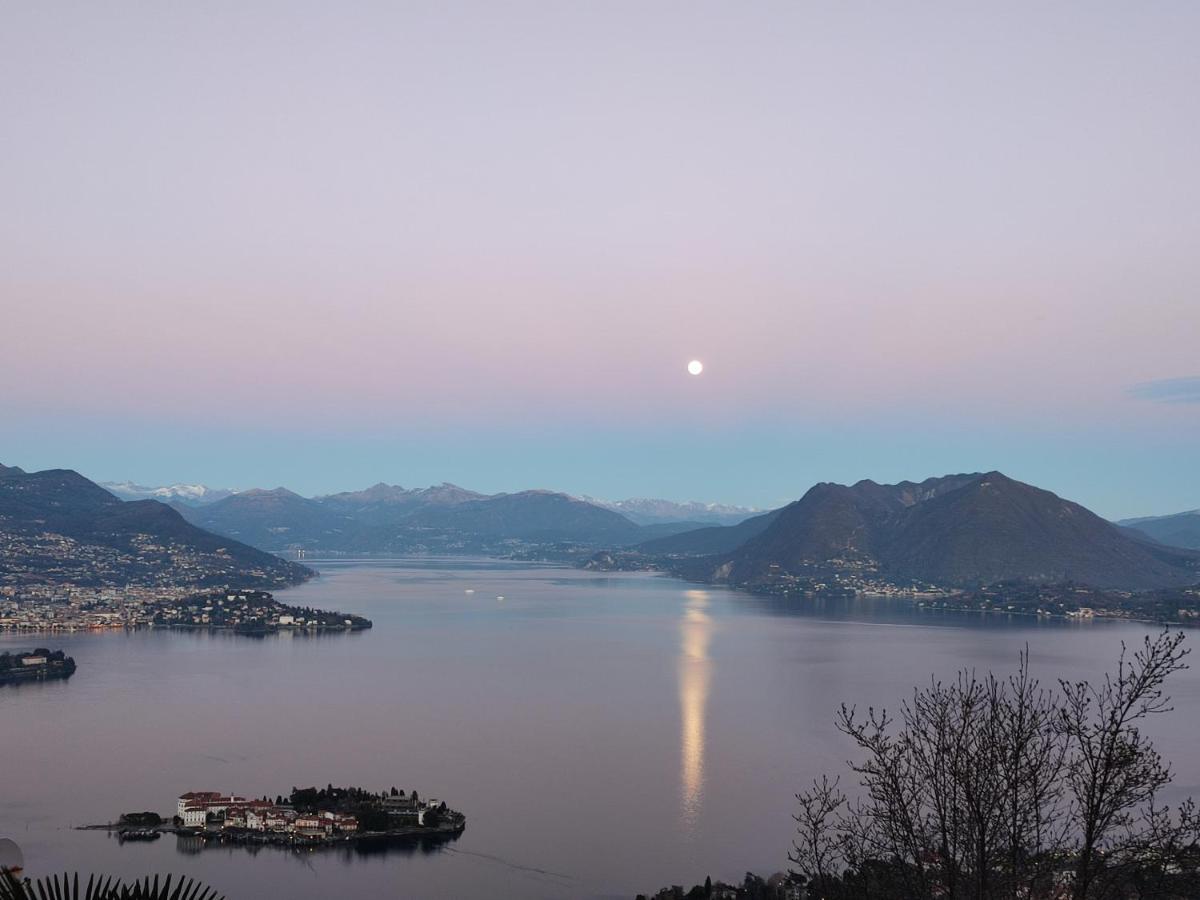 Belvedere Di Levo *
